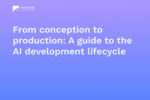 From conception to production: A guide to the AI development lifecycle​